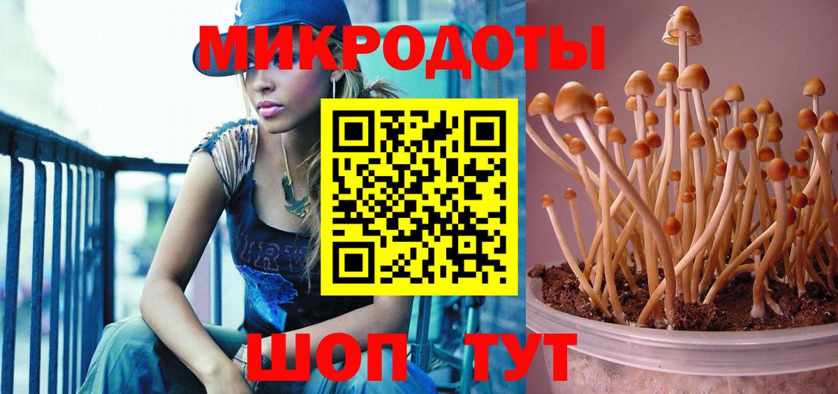 Чернушка  Псилоцибиновые грибы Psilocybine cubensis  купить   Вход с VPN  Псилоцибиновые грибы MAGIC MUSHROOMS 